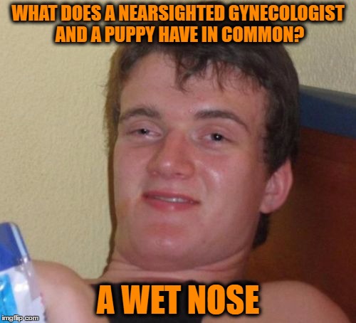 10 Guy | WHAT DOES A NEARSIGHTED GYNECOLOGIST AND A PUPPY HAVE IN COMMON? A WET NOSE | image tagged in memes,10 guy | made w/ Imgflip meme maker