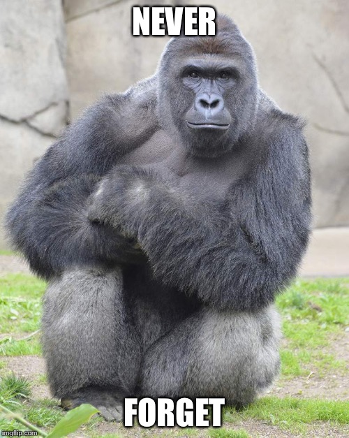 Harambe | NEVER; FORGET | image tagged in harambe | made w/ Imgflip meme maker