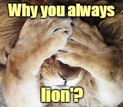 Why you always lion'? | made w/ Imgflip meme maker