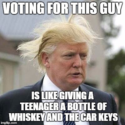 Donald Trump | VOTING FOR THIS GUY; IS LIKE GIVING A TEENAGER A BOTTLE OF WHISKEY AND THE CAR KEYS | image tagged in donald trump | made w/ Imgflip meme maker