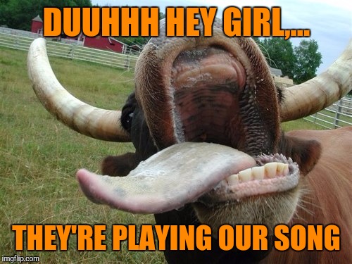 DUUHHH HEY GIRL,... THEY'RE PLAYING OUR SONG | made w/ Imgflip meme maker