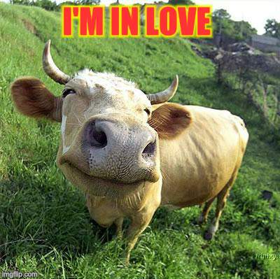 I'M IN LOVE | made w/ Imgflip meme maker