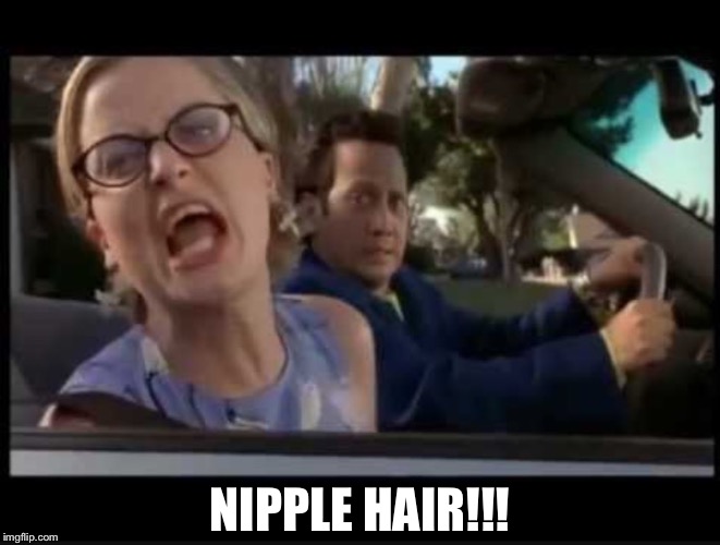 NIPPLE HAIR!!! | image tagged in deuce bigalow | made w/ Imgflip meme maker