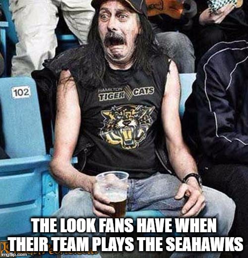 Seattle Seahawks | THE LOOK FANS HAVE WHEN THEIR TEAM PLAYS THE SEAHAWKS | image tagged in seahawks | made w/ Imgflip meme maker