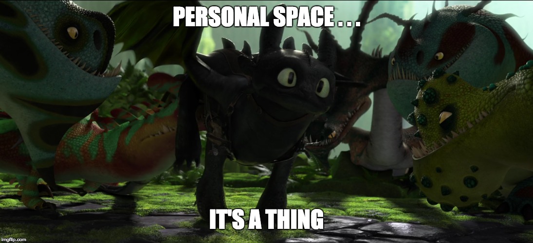 PERSONAL SPACE . . . IT'S A THING | image tagged in toothless,how to train your dragon | made w/ Imgflip meme maker