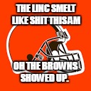 THE LINC SMELT LIKE SHIT THIS AM; OH THE BROWNS SHOWED UP. | image tagged in cleveland browns,turd browns | made w/ Imgflip meme maker