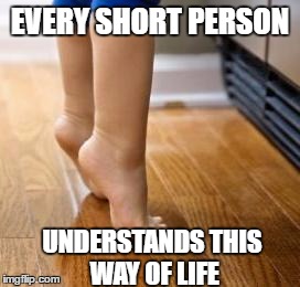 Come on short people, you know what I'm talking about | EVERY SHORT PERSON; UNDERSTANDS THIS WAY OF LIFE | image tagged in the struggle is real,memes | made w/ Imgflip meme maker