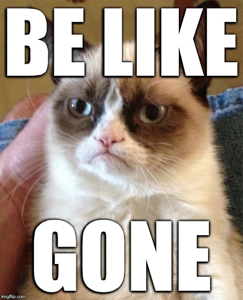 Grumpy Cat Meme | BE LIKE GONE | image tagged in memes,grumpy cat | made w/ Imgflip meme maker