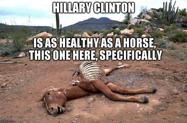 HILLARY CLINTON; IS AS HEALTHY AS A HORSE, THIS ONE HERE, SPECIFICALLY | image tagged in dead horse | made w/ Imgflip meme maker