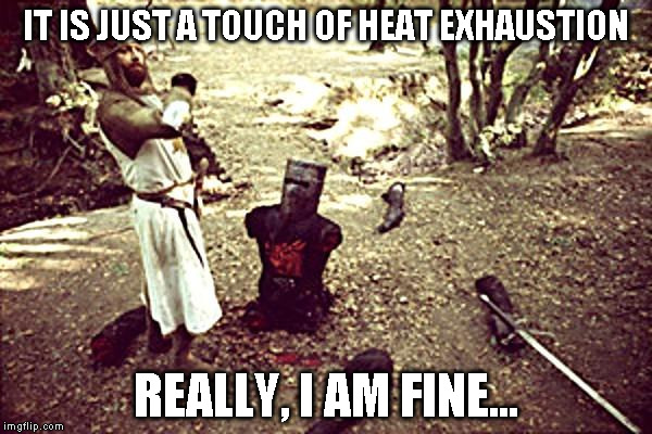Black Knight | IT IS JUST A TOUCH OF HEAT EXHAUSTION; REALLY, I AM FINE... | image tagged in black knight | made w/ Imgflip meme maker