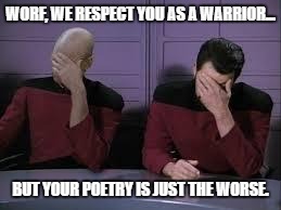 Star Trek Double Facepalm | WORF, WE RESPECT YOU AS A WARRIOR... BUT YOUR POETRY IS JUST THE WORSE. | image tagged in star trek double facepalm | made w/ Imgflip meme maker