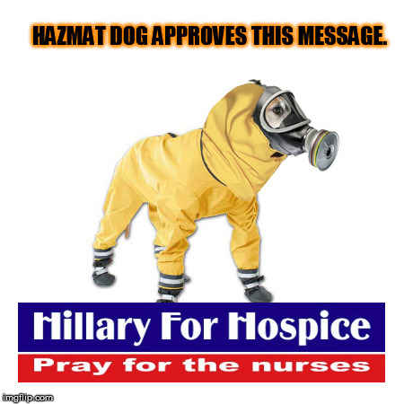 Heard Hillary felt deplorable this morning ... | HAZMAT DOG APPROVES THIS MESSAGE. | image tagged in hazmatdog | made w/ Imgflip meme maker