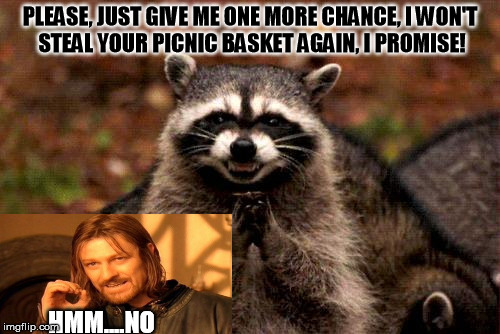 Evil Plotting Raccoon | PLEASE, JUST GIVE ME ONE MORE CHANCE, I WON'T STEAL YOUR PICNIC BASKET AGAIN, I PROMISE! HMM....NO | image tagged in memes,evil plotting raccoon | made w/ Imgflip meme maker
