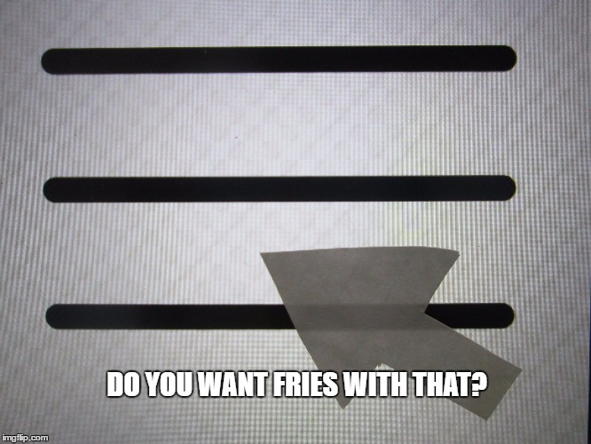 DO YOU WANT FRIES WITH THAT? | image tagged in hamburger | made w/ Imgflip meme maker
