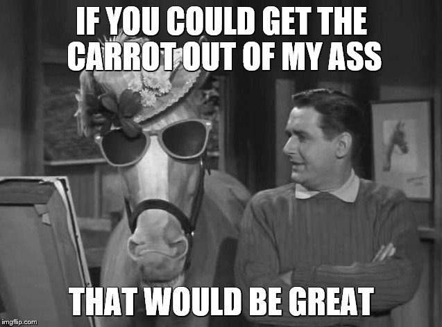 IF YOU COULD GET THE CARROT OUT OF MY ASS; THAT WOULD BE GREAT | image tagged in mred | made w/ Imgflip meme maker