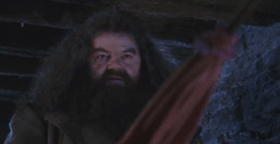 Hagrid Blank Meme Template