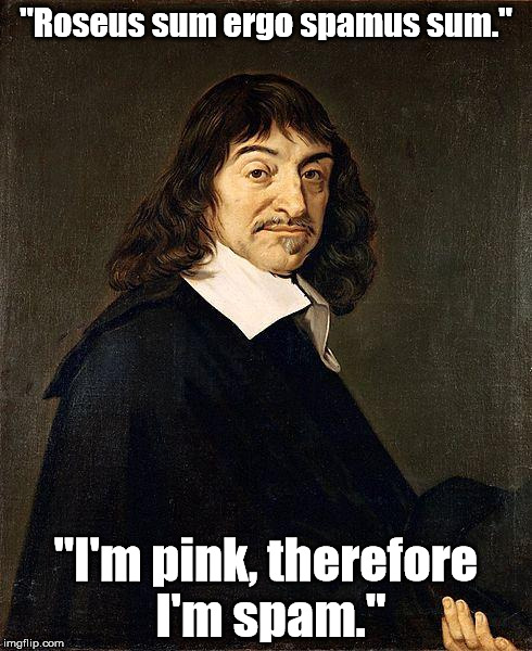 Descartes actually said, "Cogito ergo sum." | "Roseus sum ergo spamus sum."; "I'm pink, therefore I'm spam." | image tagged in rene descartes,memes,meme | made w/ Imgflip meme maker