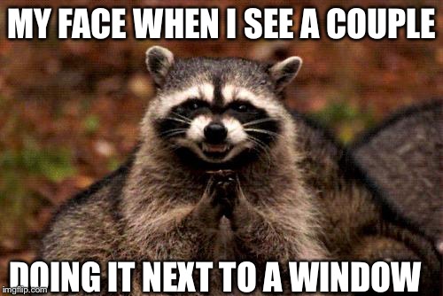 Evil Plotting Raccoon Meme | MY FACE WHEN I SEE A COUPLE; DOING IT NEXT TO A WINDOW | image tagged in memes,evil plotting raccoon | made w/ Imgflip meme maker
