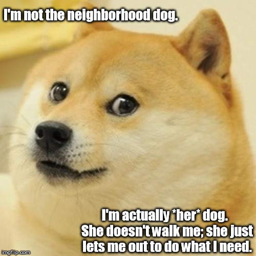 Doge Meme | I'm not the neighborhood dog. I'm actually *her* dog.  She doesn't walk me; she just lets me out to do what I need. | image tagged in memes,doge | made w/ Imgflip meme maker