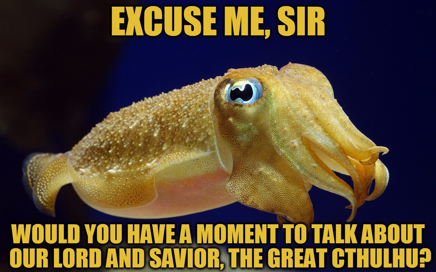 Cuttlefish Evangelist | EXCUSE ME, SIR; WOULD YOU HAVE A MOMENT TO TALK ABOUT OUR LORD AND SAVIOR, THE GREAT CTHULHU? | image tagged in memes,cuttlefish,cthulhu,our lord and savior,excuse me sir,headfoot | made w/ Imgflip meme maker