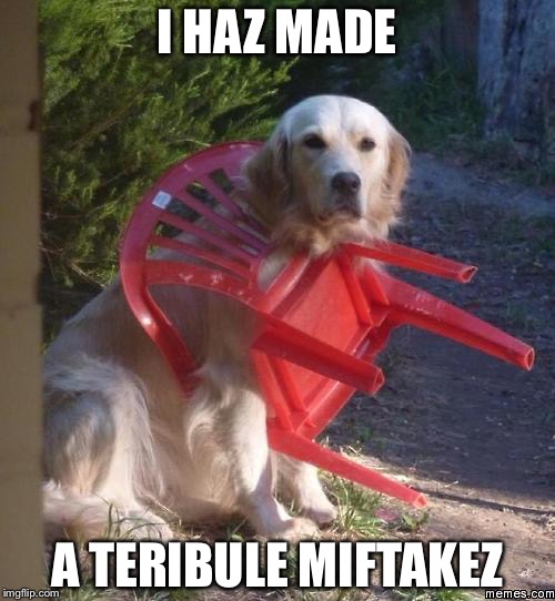 Dog stuck | I HAZ MADE; A TERIBULE MIFTAKEZ | image tagged in dog stuck | made w/ Imgflip meme maker