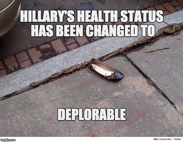 Hillary's Health is Deplorable | HILLARY'S HEALTH STATUS HAS BEEN CHANGED TO; DEPLORABLE | image tagged in hillary basketofdeplorables | made w/ Imgflip meme maker