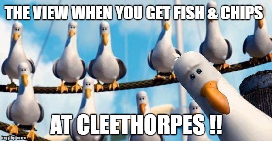 Nemo Birds | THE VIEW WHEN YOU GET FISH & CHIPS; AT CLEETHORPES !! | image tagged in nemo birds | made w/ Imgflip meme maker