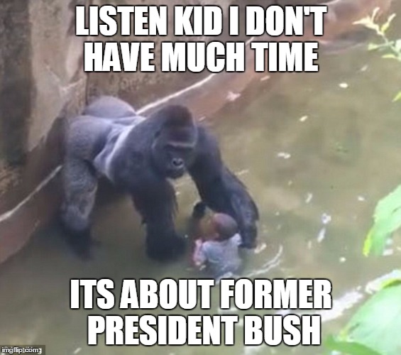 Harambe | LISTEN KID I DON'T HAVE MUCH TIME; ITS ABOUT FORMER PRESIDENT BUSH | image tagged in harambe | made w/ Imgflip meme maker
