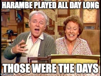 Bunkers | HARAMBE PLAYED ALL DAY LONG; THOSE WERE THE DAYS | image tagged in bunkers | made w/ Imgflip meme maker