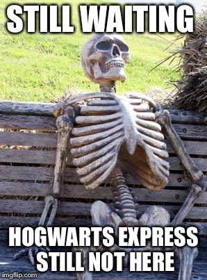 Waiting Skeleton Meme | STILL WAITING; HOGWARTS EXPRESS STILL NOT HERE | image tagged in memes,waiting skeleton | made w/ Imgflip meme maker
