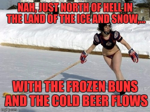 NAH, JUST NORTH OF HELL IN THE LAND OF THE ICE AND SNOW,... WITH THE FROZEN BUNS AND THE COLD BEER FLOWS | made w/ Imgflip meme maker