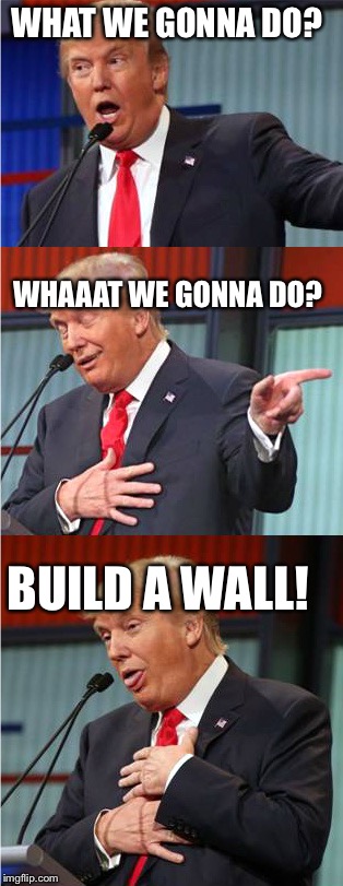 Bad Pun Trump | WHAT WE GONNA DO? WHAAAT WE GONNA DO? BUILD A WALL! | image tagged in bad pun trump | made w/ Imgflip meme maker