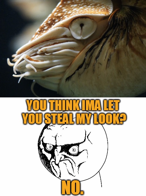 Nautilus Rage Face | YOU THINK IMA LET YOU STEAL MY LOOK? NO. | image tagged in memes,no rage face,nautilus,steal my look,no,headfoot | made w/ Imgflip meme maker