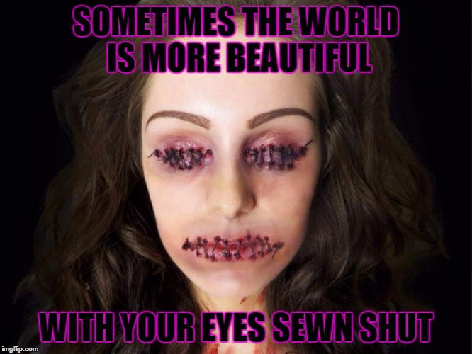 There's beauty even in the things you don't see just got to hone your senses | SOMETIMES THE WORLD IS MORE BEAUTIFUL; WITH YOUR EYES SEWN SHUT | image tagged in beauty,blind,sewmyeyesshut,true story,facebook | made w/ Imgflip meme maker