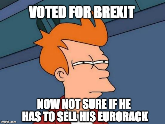 Futurama Fry Meme | VOTED FOR BREXIT; NOW NOT SURE IF HE HAS TO SELL HIS EURORACK | image tagged in memes,futurama fry | made w/ Imgflip meme maker