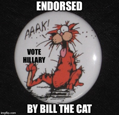 ENDORSED BY BILL THE CAT VOTE HILLARY | made w/ Imgflip meme maker