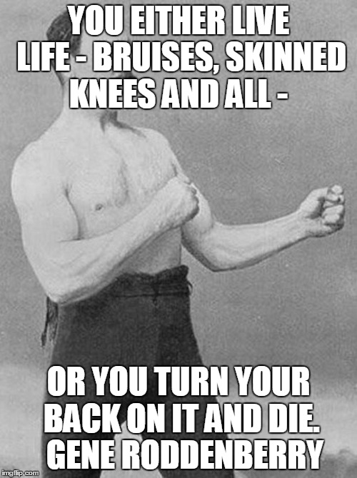 thefighter | YOU EITHER LIVE LIFE - BRUISES, SKINNED KNEES AND ALL -; OR YOU TURN YOUR BACK ON IT AND DIE.  GENE RODDENBERRY | image tagged in thefighter | made w/ Imgflip meme maker
