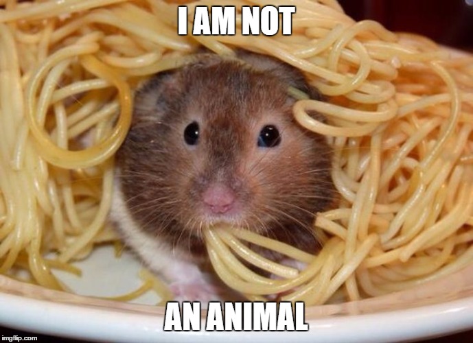 pasta | I AM NOT AN ANIMAL | image tagged in pasta | made w/ Imgflip meme maker