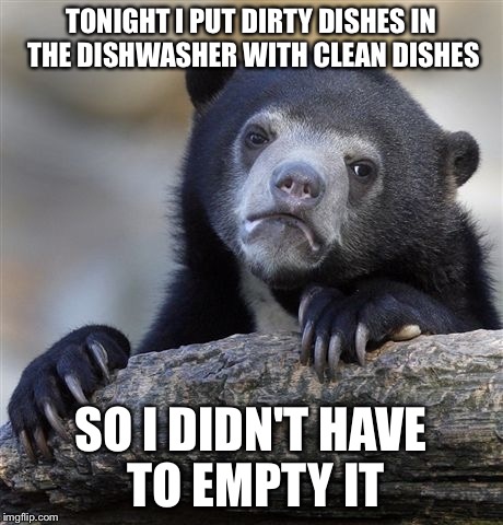 Confession Bear | TONIGHT I PUT DIRTY DISHES IN THE DISHWASHER WITH CLEAN DISHES; SO I DIDN'T HAVE TO EMPTY IT | image tagged in memes,confession bear | made w/ Imgflip meme maker