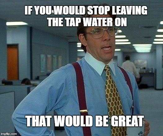 That Would Be Great Meme |  IF YOU WOULD STOP LEAVING THE TAP WATER ON; THAT WOULD BE GREAT | image tagged in memes,that would be great | made w/ Imgflip meme maker