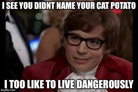 I Too Like To Live Dangerously | I SEE YOU DIDNT NAME YOUR CAT POTATO; I TOO LIKE TO LIVE DANGEROUSLY | image tagged in memes,i too like to live dangerously | made w/ Imgflip meme maker