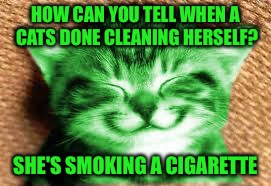 Punful RayCat | HOW CAN YOU TELL WHEN A CATS DONE CLEANING HERSELF? SHE'S SMOKING A CIGARETTE | image tagged in happy raycat,memes | made w/ Imgflip meme maker
