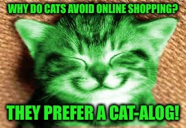 Punful RayCat | WHY DO CATS AVOID ONLINE SHOPPING? THEY PREFER A CAT-ALOG! | image tagged in happy raycat,memes | made w/ Imgflip meme maker