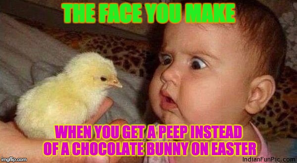 Funny Face | THE FACE YOU MAKE; WHEN YOU GET A PEEP INSTEAD OF A CHOCOLATE BUNNY ON EASTER | image tagged in peeps | made w/ Imgflip meme maker