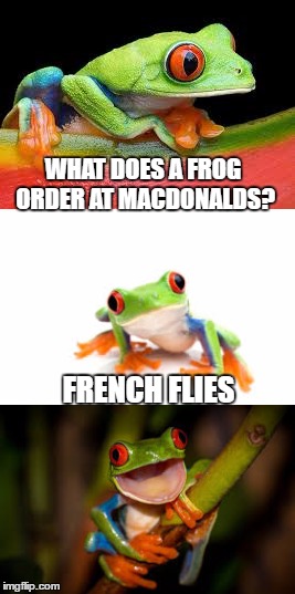 Tree Frog Pun | WHAT DOES A FROG ORDER AT MACDONALDS? FRENCH FLIES | image tagged in frog,puns | made w/ Imgflip meme maker