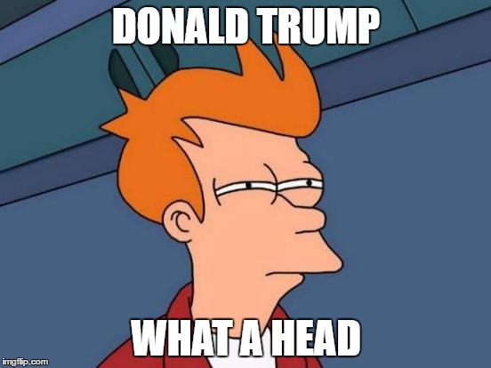 i know its bad burn me | DONALD TRUMP; WHAT A HEAD | image tagged in memes,futurama fry,bad,cringe | made w/ Imgflip meme maker