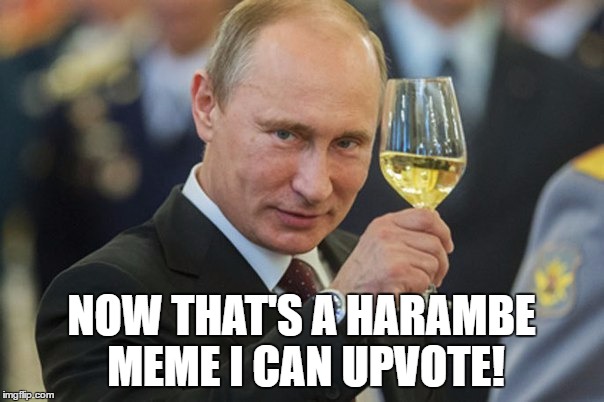 Putin Cheers | NOW THAT'S A HARAMBE MEME I CAN UPVOTE! | image tagged in putin cheers | made w/ Imgflip meme maker