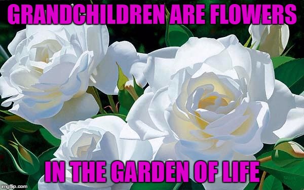 Grandchildren are... | GRANDCHILDREN ARE FLOWERS; IN THE GARDEN OF LIFE | image tagged in grandchildren,flowers,true love,garden,life | made w/ Imgflip meme maker