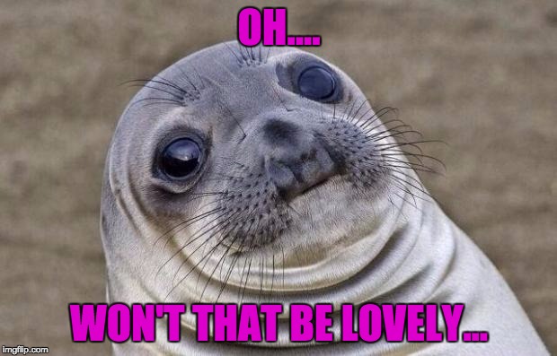 Awkward Moment Sealion Meme | OH.... WON'T THAT BE LOVELY... | image tagged in memes,awkward moment sealion | made w/ Imgflip meme maker