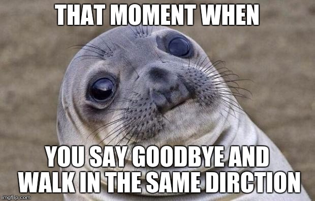 Awkward Moment Sealion | THAT MOMENT WHEN; YOU SAY GOODBYE AND WALK IN THE SAME DIRCTION | image tagged in memes,awkward moment sealion | made w/ Imgflip meme maker